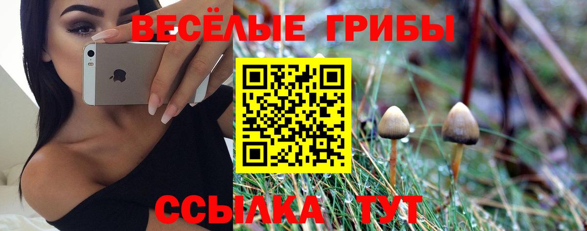 Галлюциногенные грибы Magic Shrooms Нерюнгри